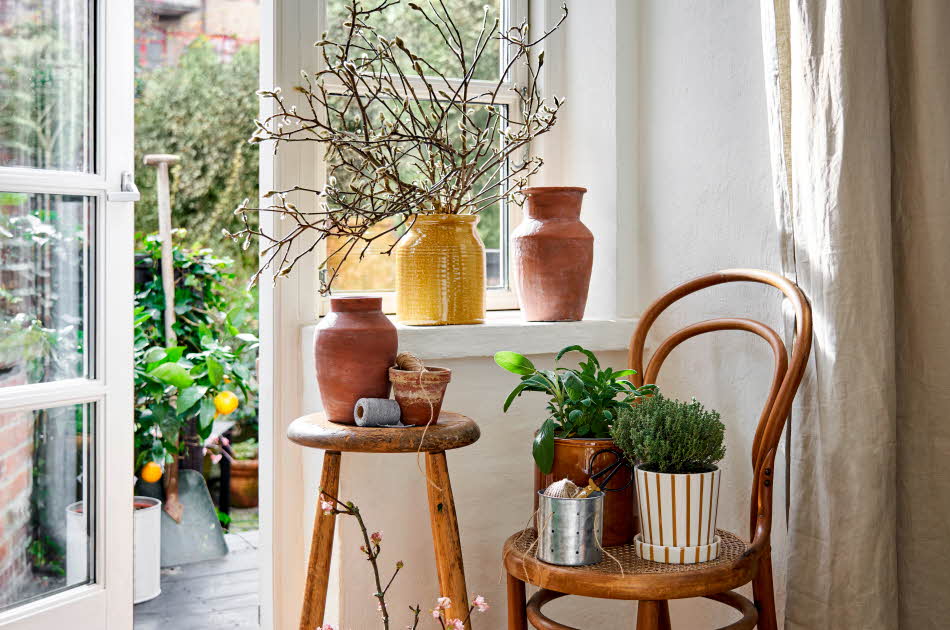 Potter og krukker med grener og grønne planter i vinduskarm og på krakk og stol