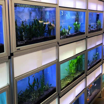 Akvarium ved siden av hverandre 