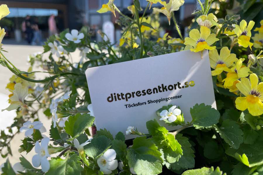 DittPresentkort: Den Perfekta Gåvan på Töcksfors Shoppingcenter