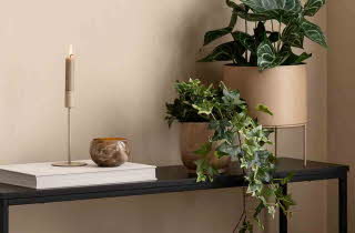 Et bord med to potter med planter, en bok og en lysestake på