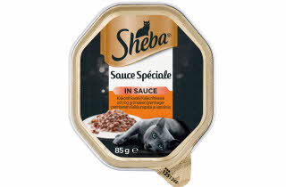 bilde av sheba katt mat