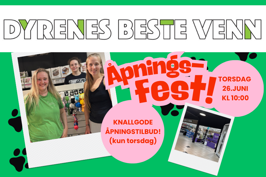 dyrenes beste venn