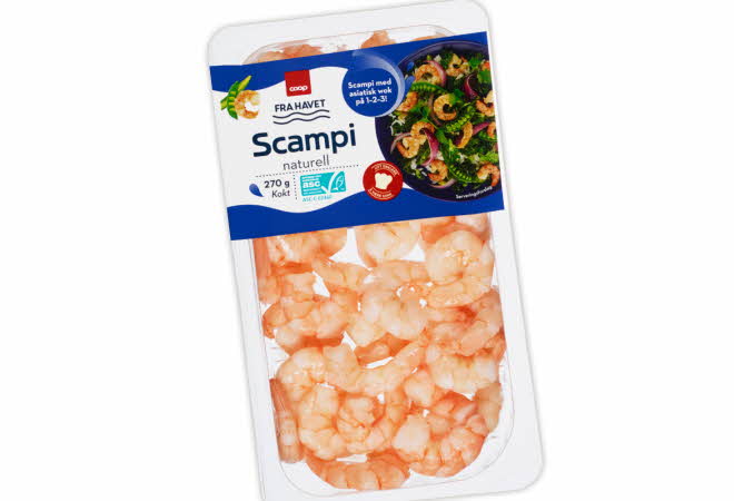 bilde av scampi