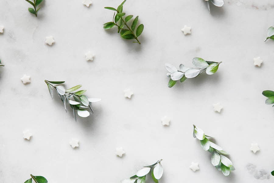 Blomster ligger på hvit flate