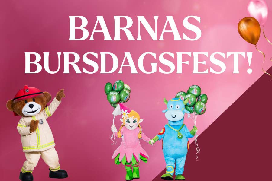 BURSDAG