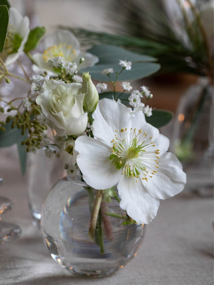 Blomster i vase