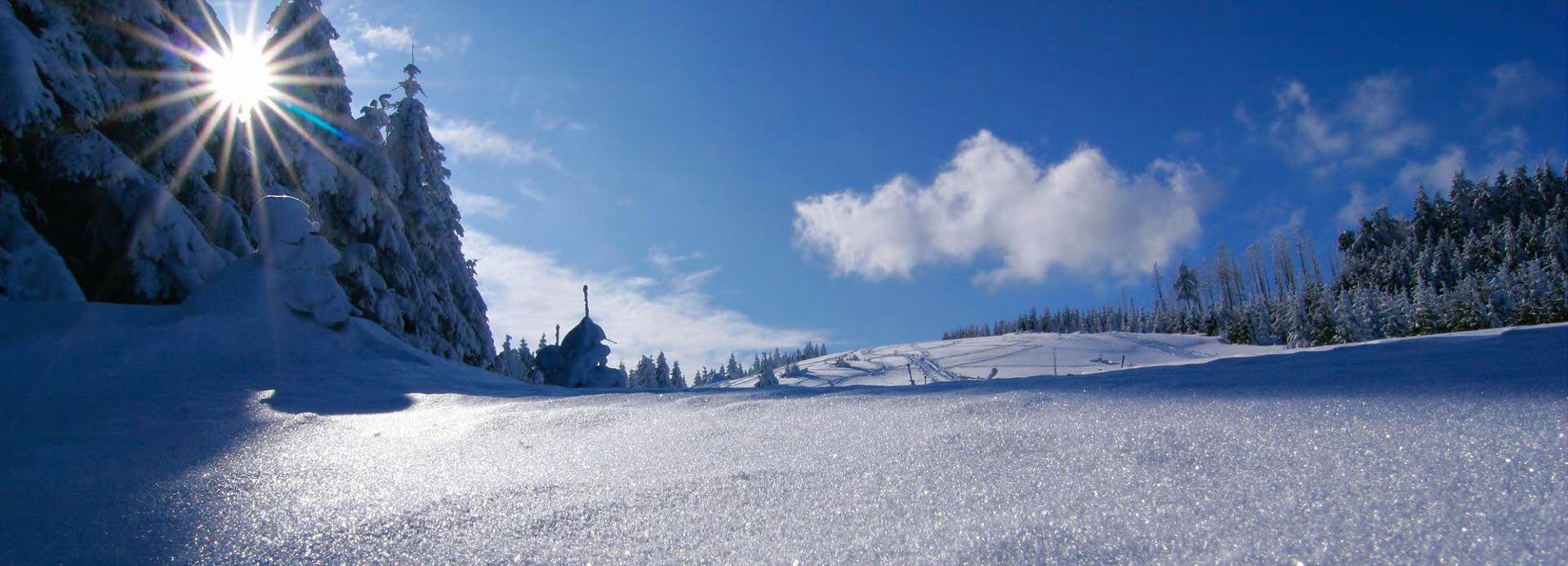 Vinterbilde fra fjellet