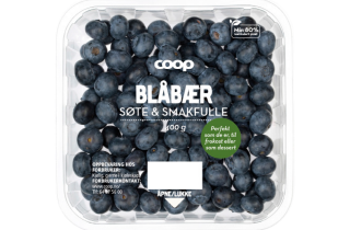 bilde av blåbær