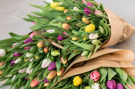 buketter med tulipaner i diverse farger