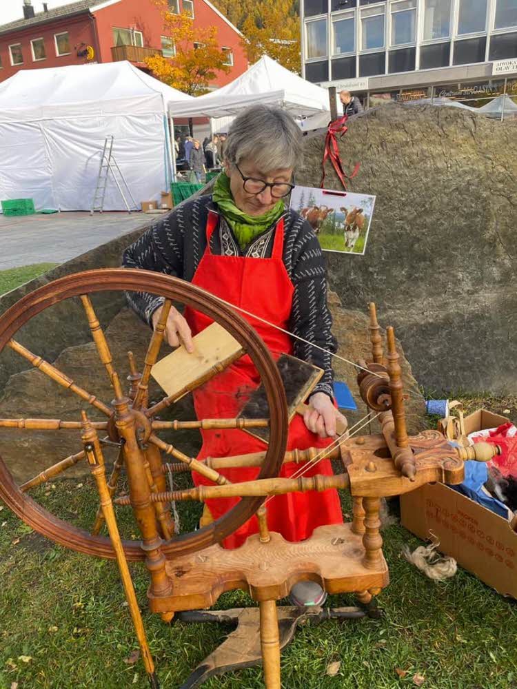 demonstrasjon karde og spinne