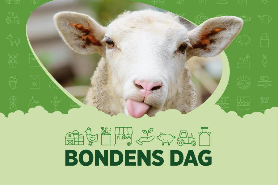 Kampanjebilde Bondens dag