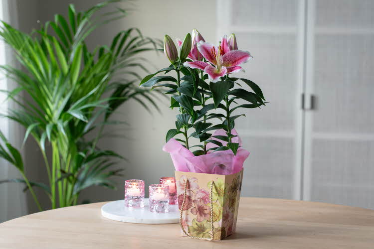 Blomster fra Mester Grønn