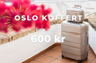 Beige kofferter står på brune fliser og hvit mur bakgrunn og med rosa blomst i hjørnet på bildet