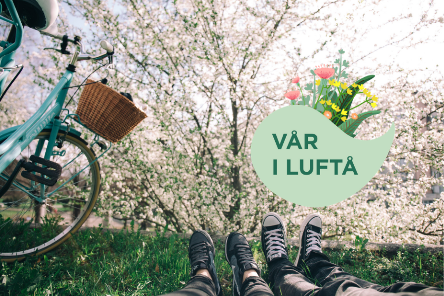 Trær blomster converse sko sykkel