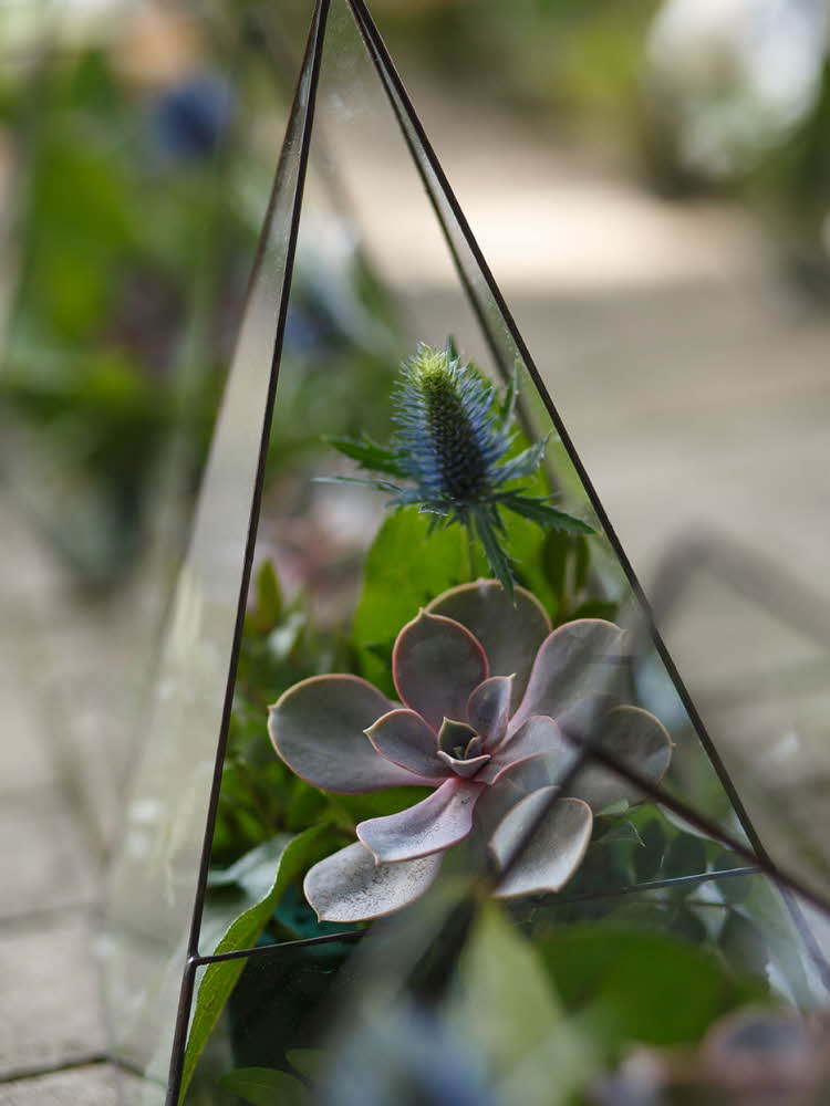 Grønne planter og blomster i gjennomsiktig trekantet glassvase