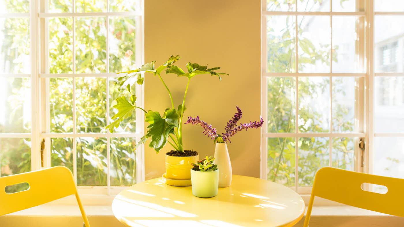 Gult bord med blomster og gule stoler foran solfylt vindu