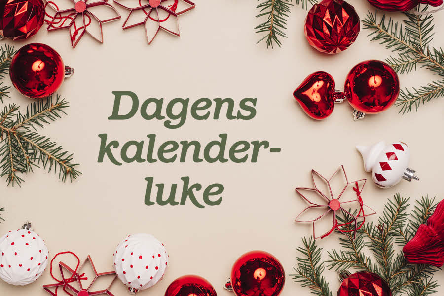 røde julekuler, røde julestjerner, grønn granbar med teksten Dagens kalenderluke