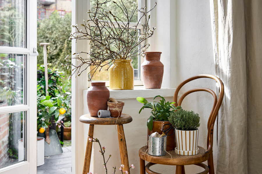 Potter og krukker med grener og grønne planter i vinduskarm og på krakk og stol