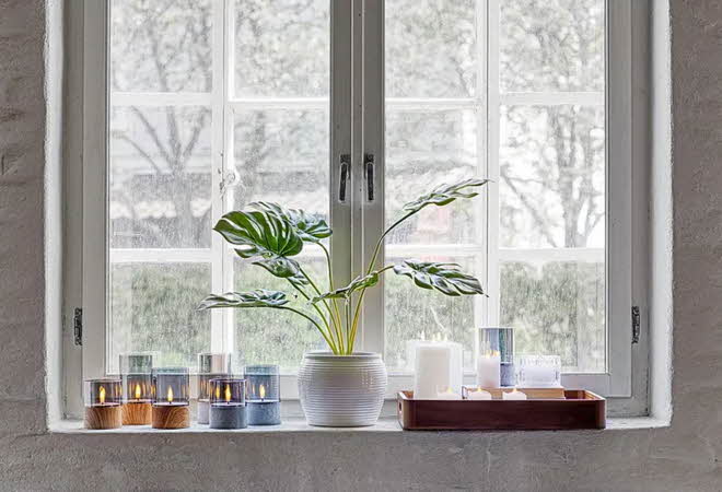 En vinduskarm med flere LED-lys stående, og en plante i midten
