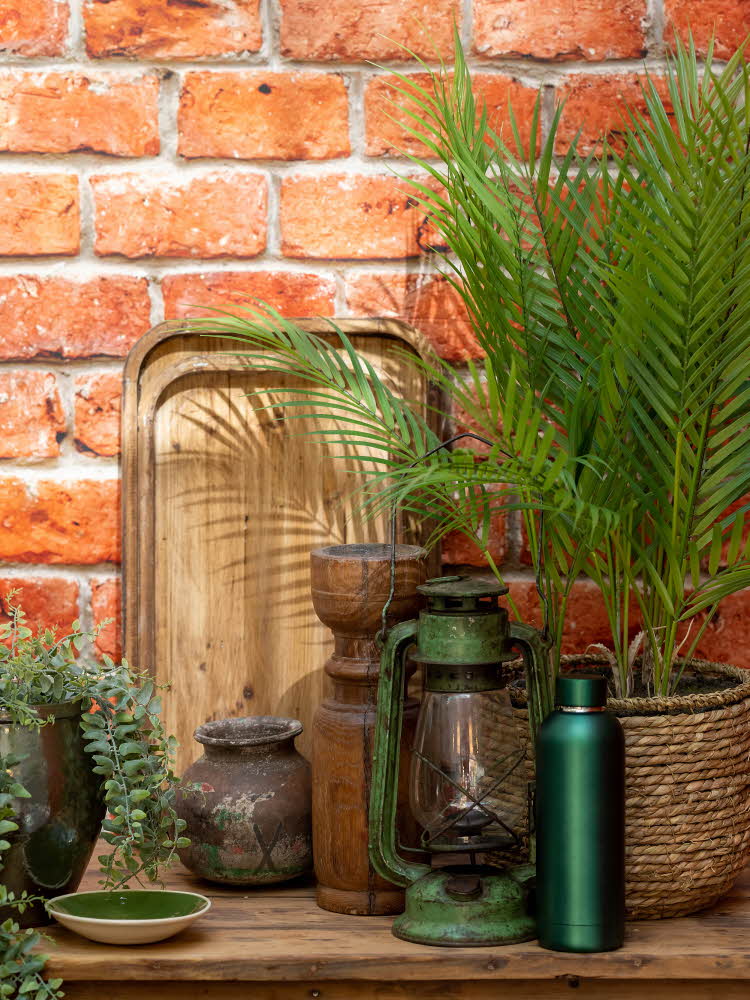 Detaljbilde av trebenk med grønne planter, trefat, vase og lykt