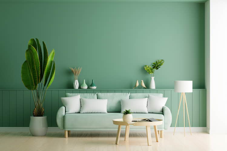 Rom med grønnmalt vegg og brystpanel, stor grønn plante, sofa, bord, lampe og pyntegjenstander.   