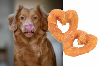 bilde av en hund med kylling hjerte godteri