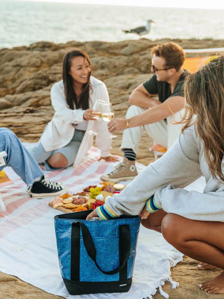 Personer som har piknik på en strand