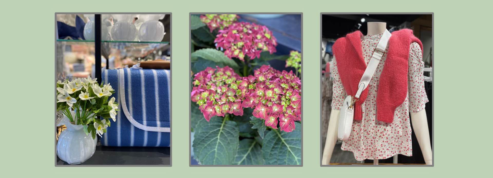 bilder av blomster, sommerklær og pledd