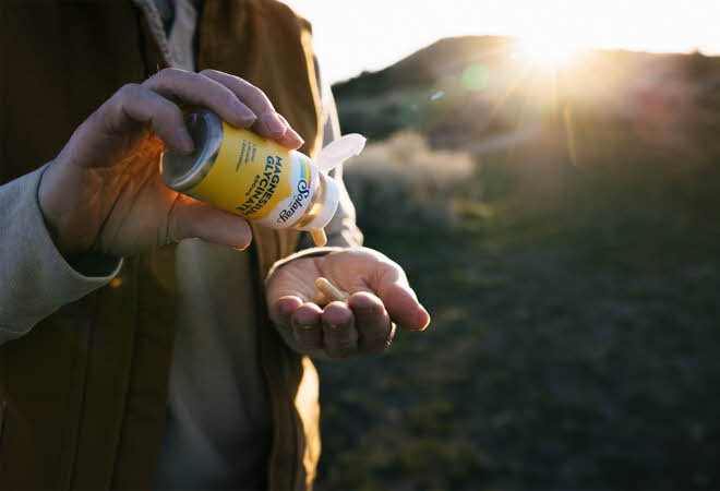 bilde av solaray magnesium tabletter