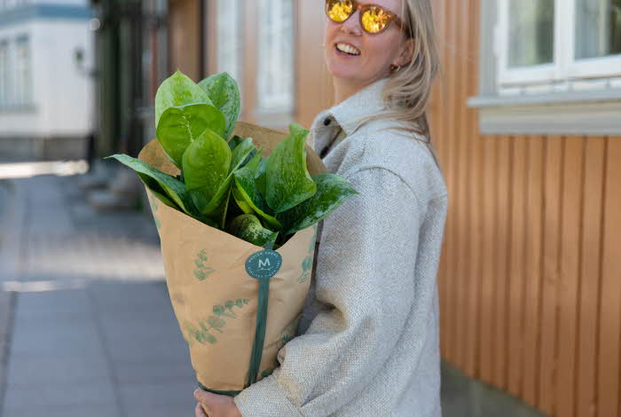 Dame med plante fra Mester Grønn