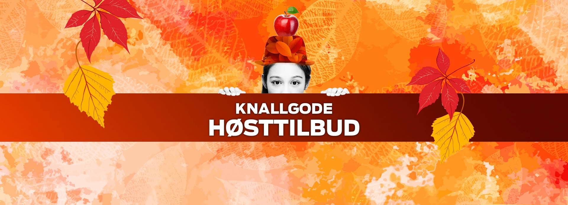 Kampanjebilde