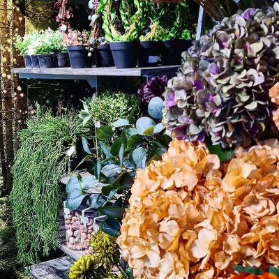 Stort utvalg med blomster med skog i bakgrunn