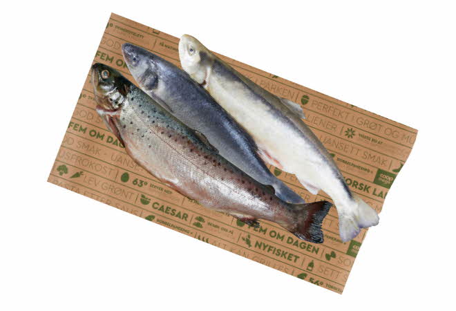 Matpapir med 3 ulike fisk.