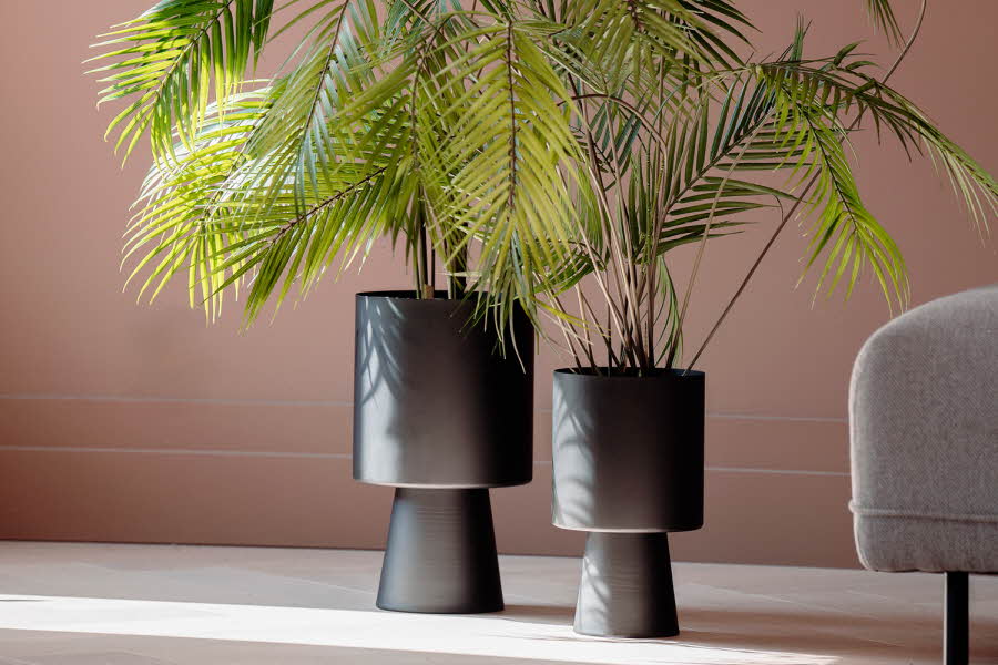 To grønne planter i to svarte potter