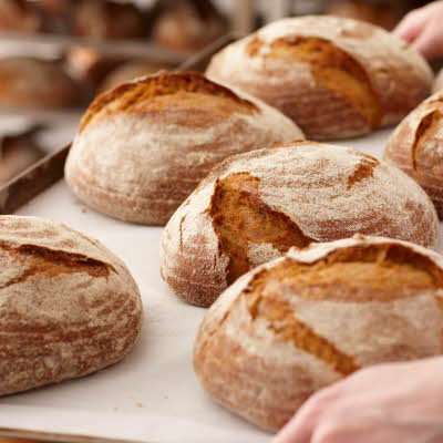 Solbrød