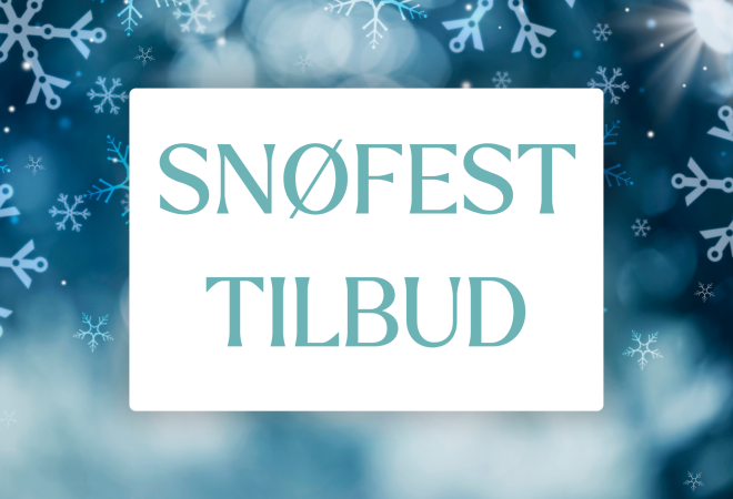 snøfest