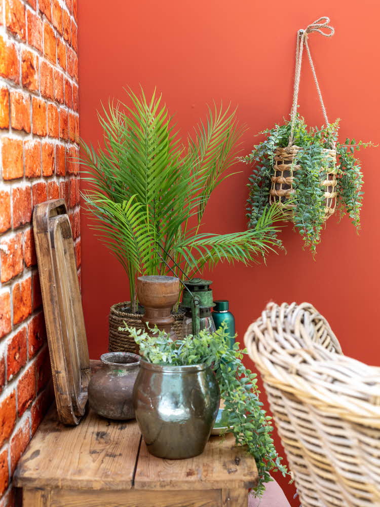Smalt trebord med grønne planter, trefat, krukker og en plante hengende på en vegg i bakgrunnen