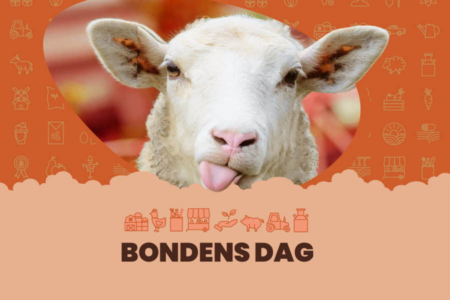 Aktivitetsbilde til arrangementet Bondens dag i AMFI Knarvik 2025