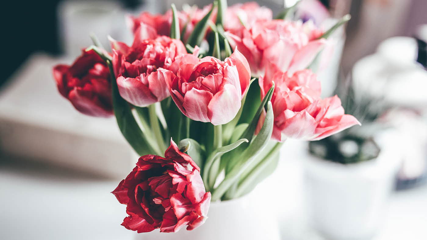 Blomster i en vase
