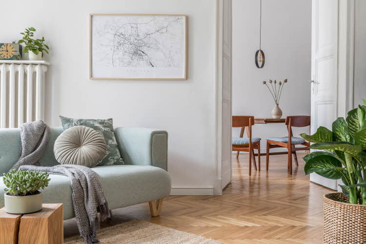 Stue med sofa, grønne planter og spisebord og stoler i mørkt treverk