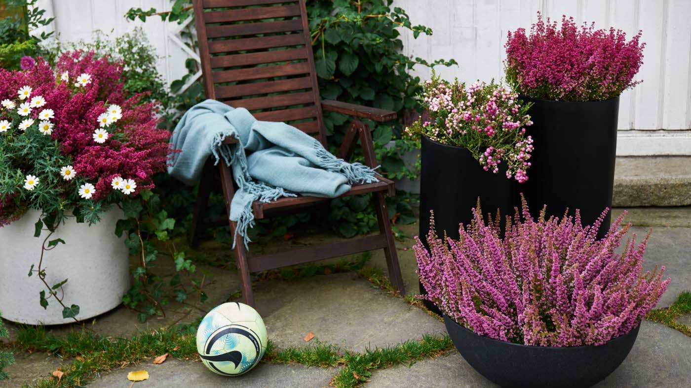Høstmiljø lyng fra Østerås Blomster