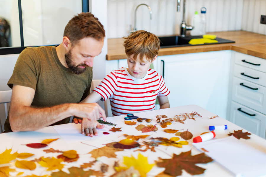 Å presse blader er en fin familieaktivitet, særlig om høsten når bladene er på sitt vakreste. Se hvordan dere kan lage dekor ved å tørke og presse høstbladene!