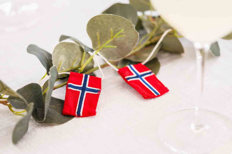 Nærbilde av grønn gren og flagglenke