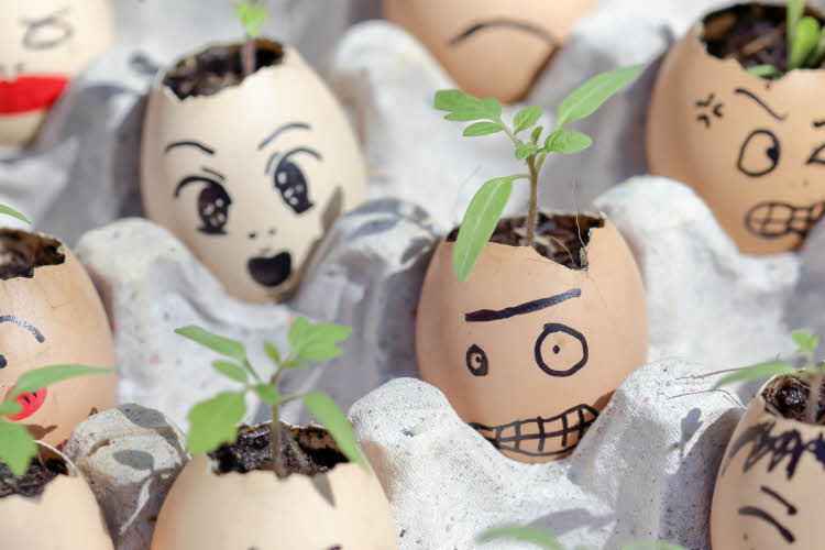 Karse plantet i eggeskall med ansikt på