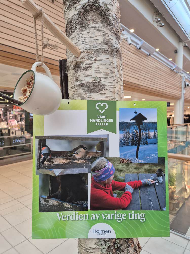 bilde av fuglebrett