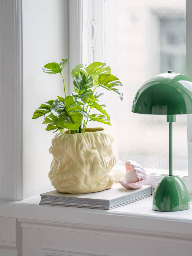 Dekorert vinduskarm med plante og lampe