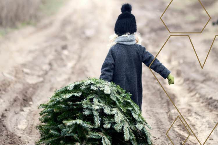 Jente med juletre
