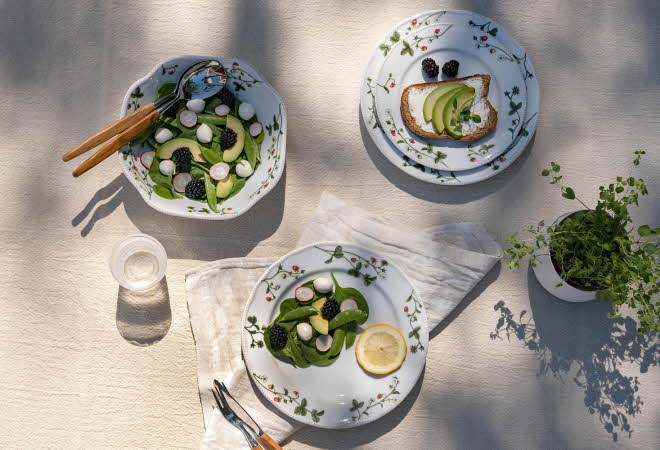 bilde av en piknik med tallerken og mat