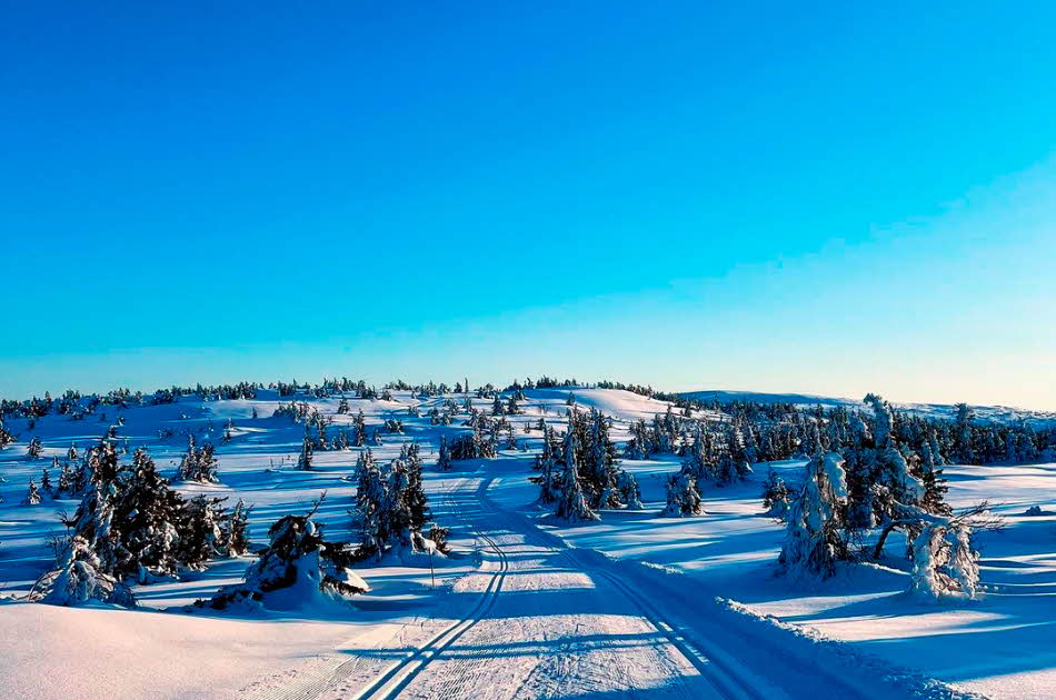 Naturbilde, på fjellet, snø, skiløyper, trær og blå himmel