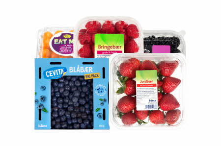Jordbær, bringebær, blåbær, bjørnebær og physalis